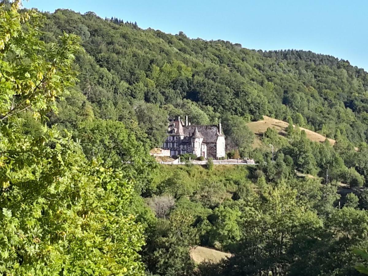 Chateau De Courbelimagne, Raulhac Exterior photo